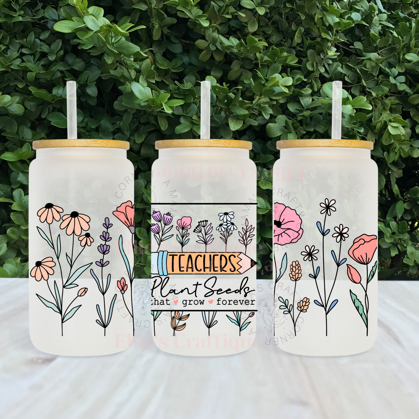 Teachers Plant Seeds